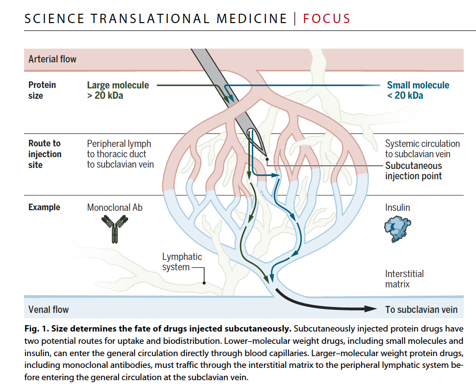 subctutaneousdrugdelivery.png